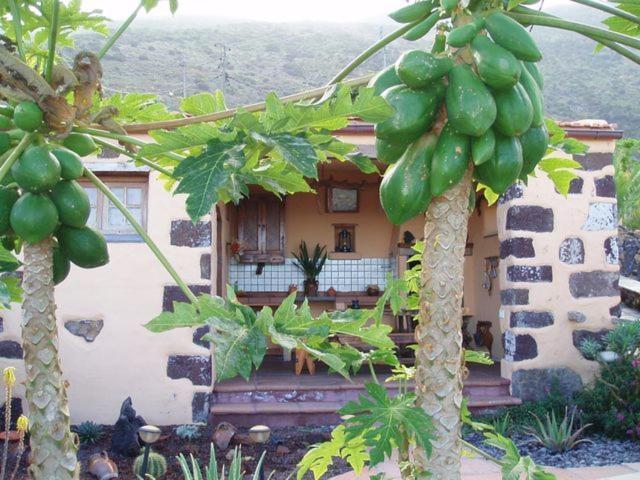 Penzion Casa De Mi Abuela Maria Frontera Exteriér fotografie